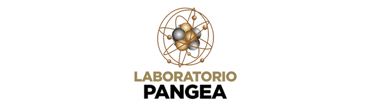 Canvas Logo
